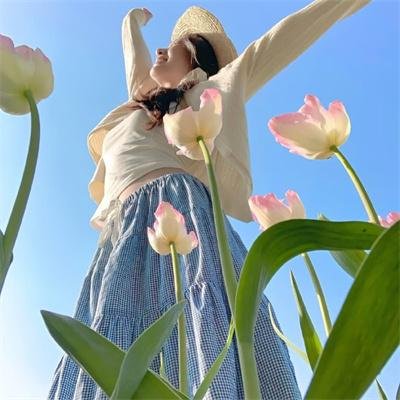 玫瑰人生国语