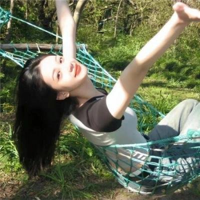 山茶花飘零